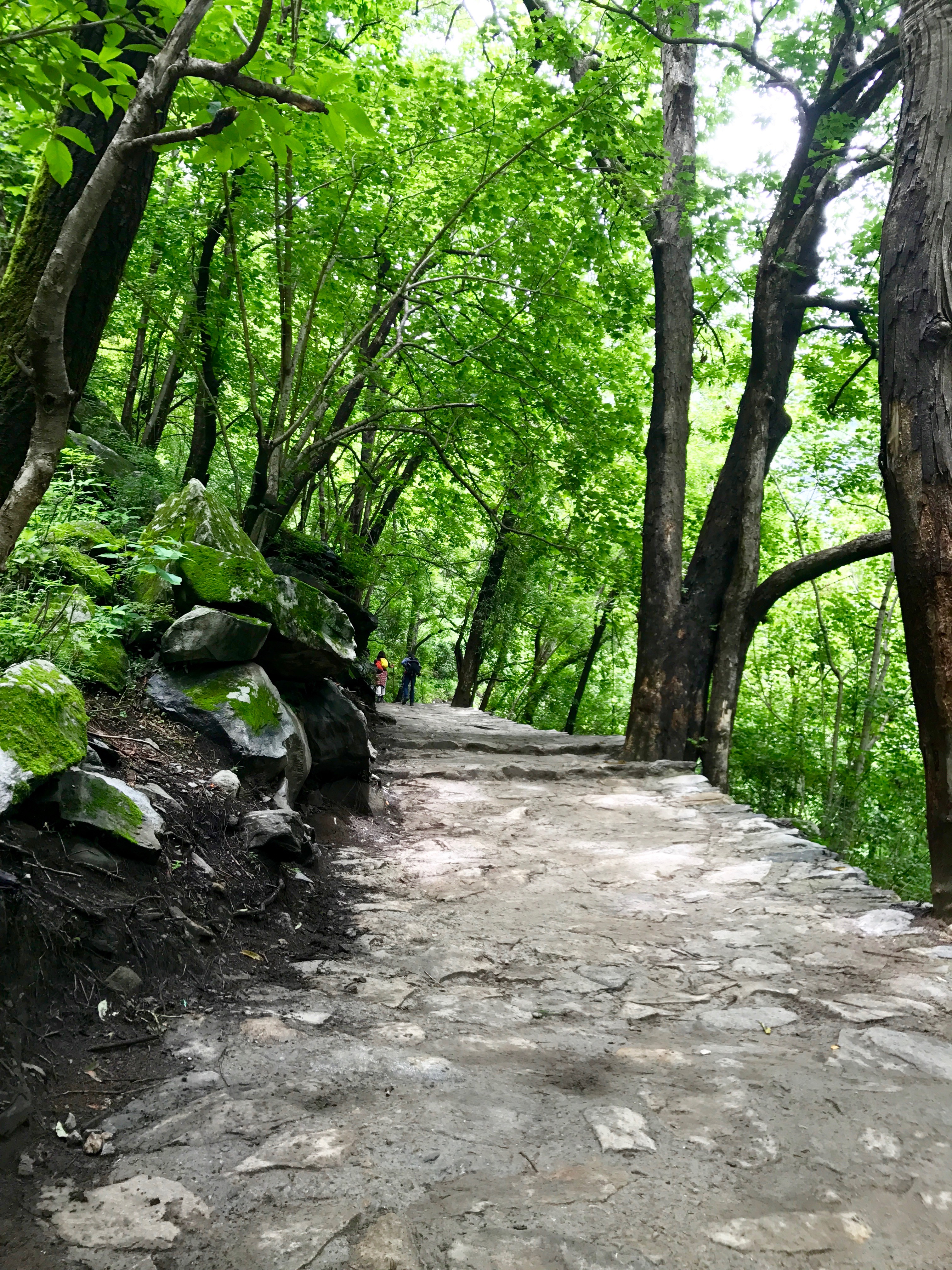 A trail to the Valley of Flowers National Park base camp
