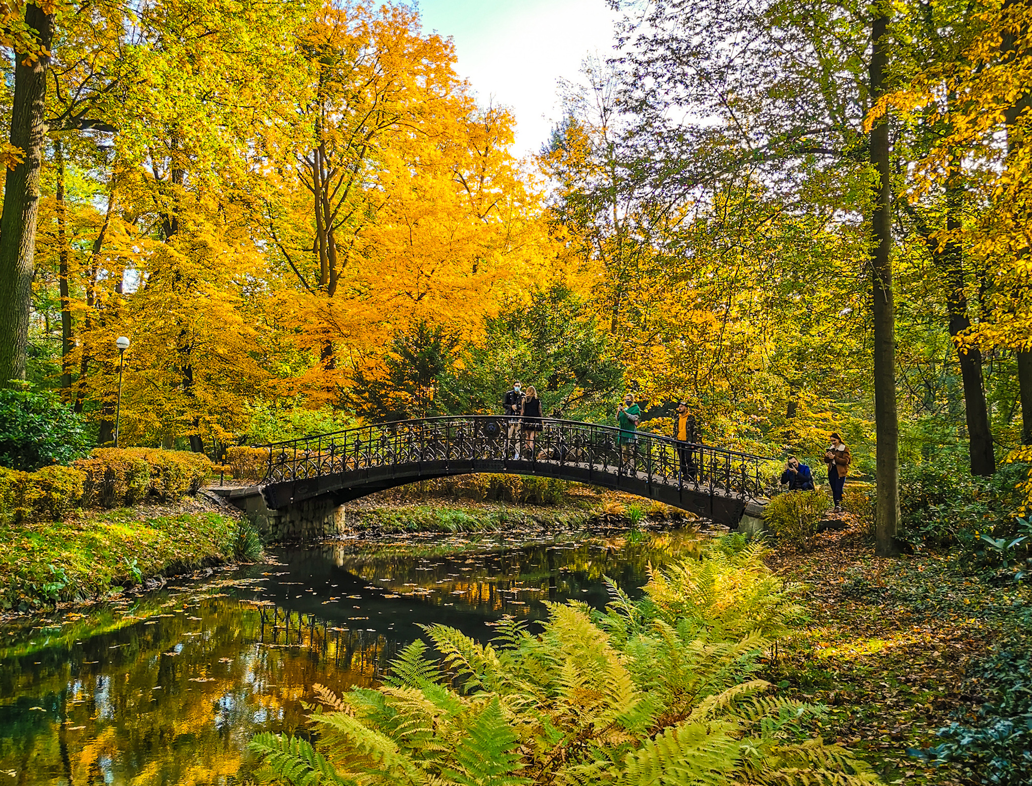 Japanese Garden in Wroclaw