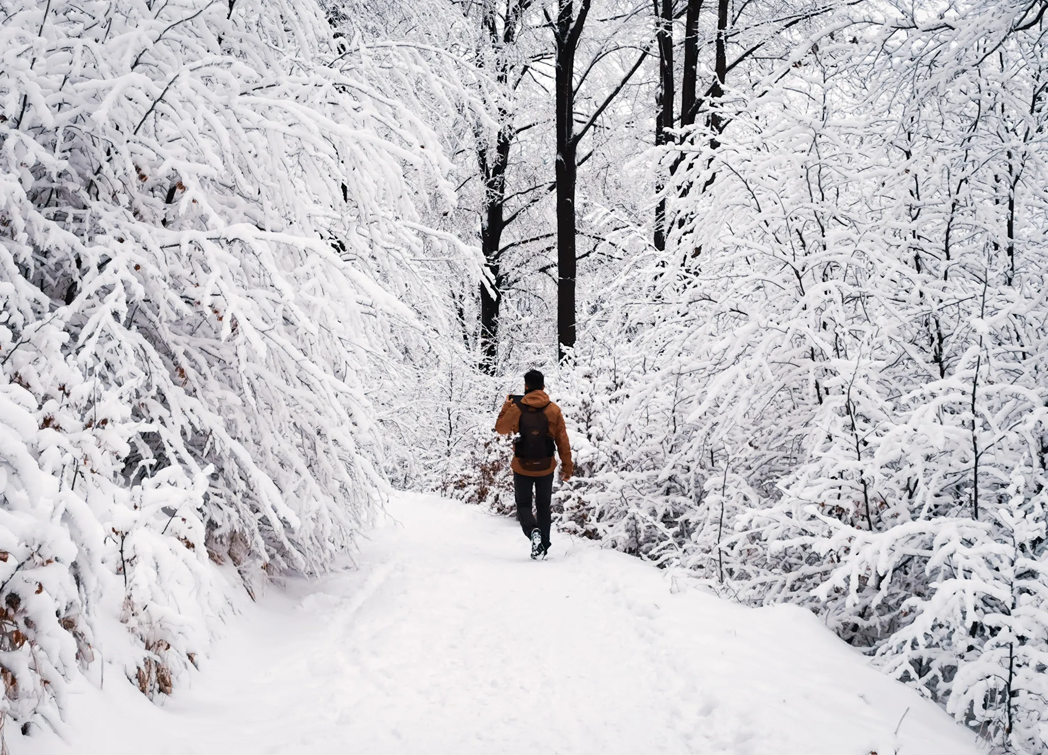 Hike trail in Park Krajobrazowy Gór Sowich