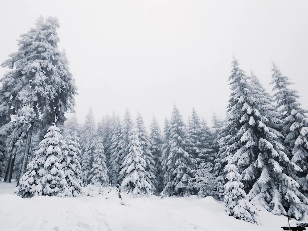 Snow swept outdoors of Gory Sowie near Wroclaw