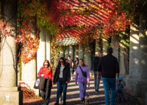 People enjoying city tour of Wroclaw including Centennial Hall in Wroclaw during autumn