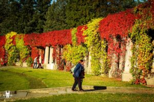 A city tour of Wroclaw including Centennial Hall in Wroclaw during autumn