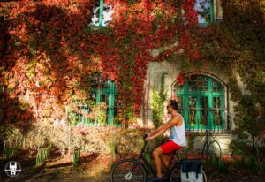 Biking tour in Wroclaw in autumn