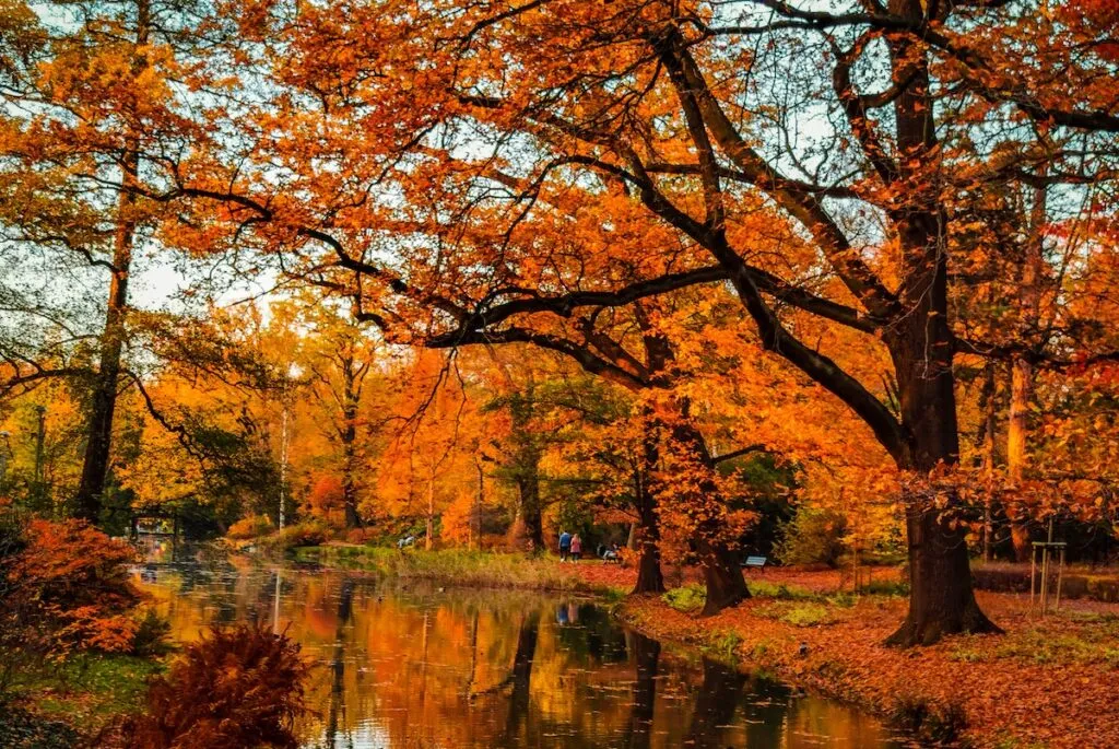 Japanese Garden in Wroclaw during autumn