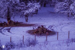 bieszczady winter travel in poland