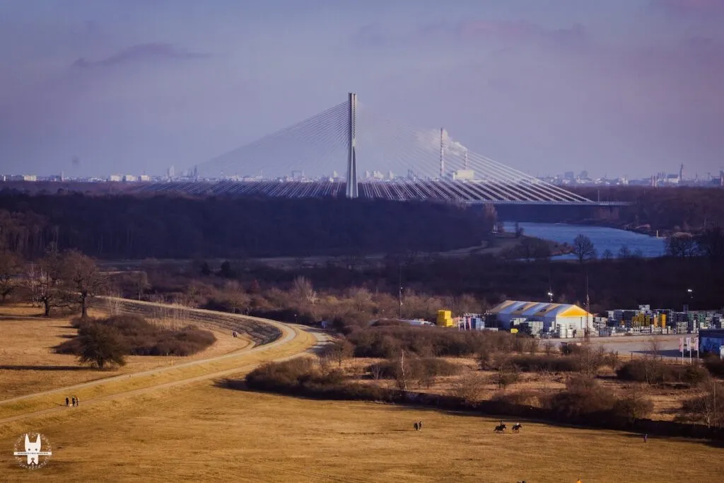 Most redzinski in Wrocław during spring