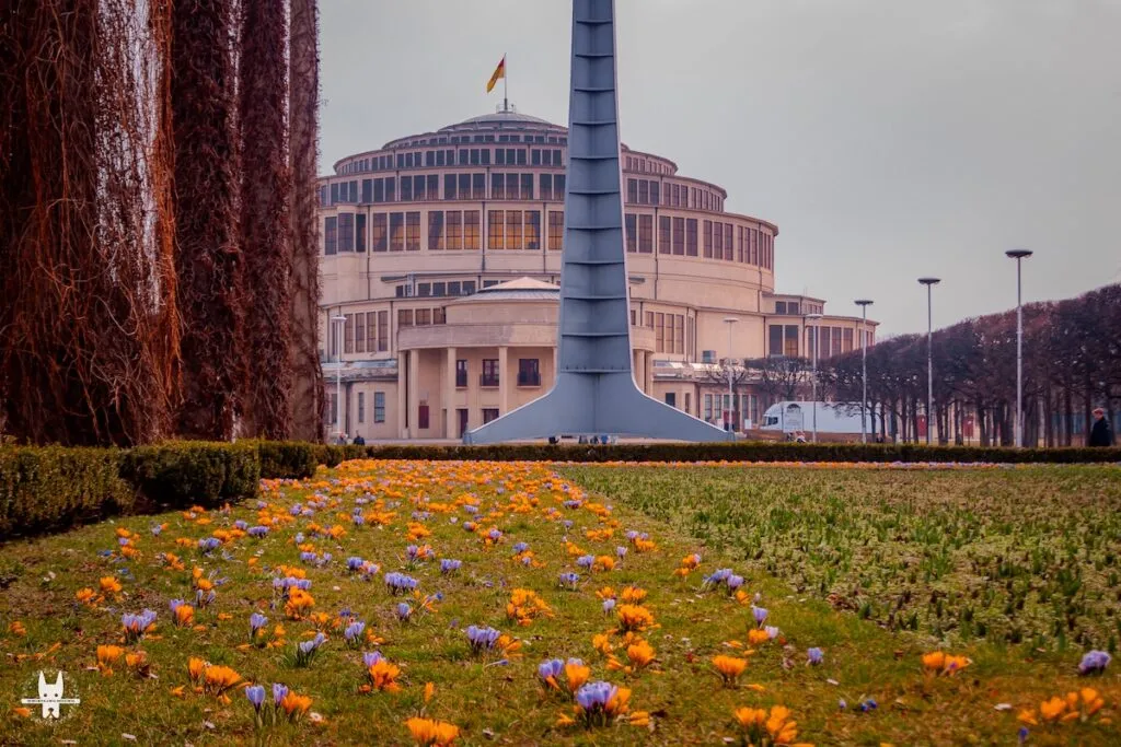 Exploring Hala stulecia on a Wrocław bike tour