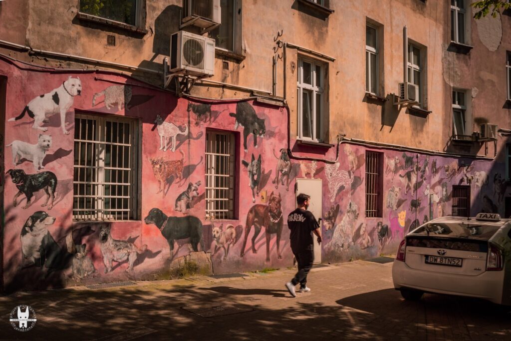 The beautiful wall art of Nadodrze Kolorowe Podwórka in Wrocław