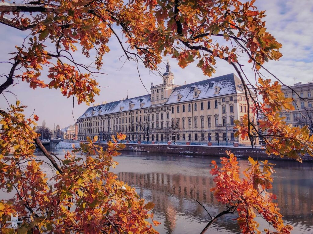 University of Wrocław after snow during winter in Poland