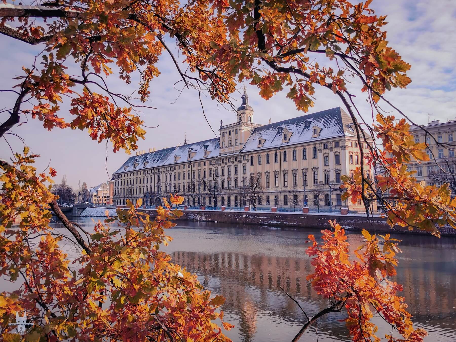 University of Wrocław after snow during winter in Poland