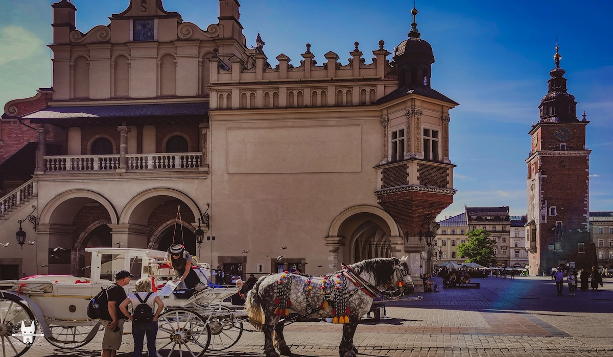 old-town-krakow-private-walking-tour5
