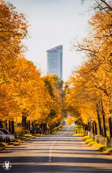 wrocław-private-bike-tour-vertical1