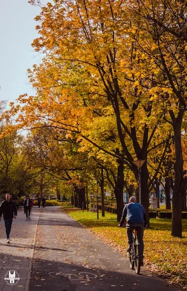 wrocław-private-bike-tour-vertical2