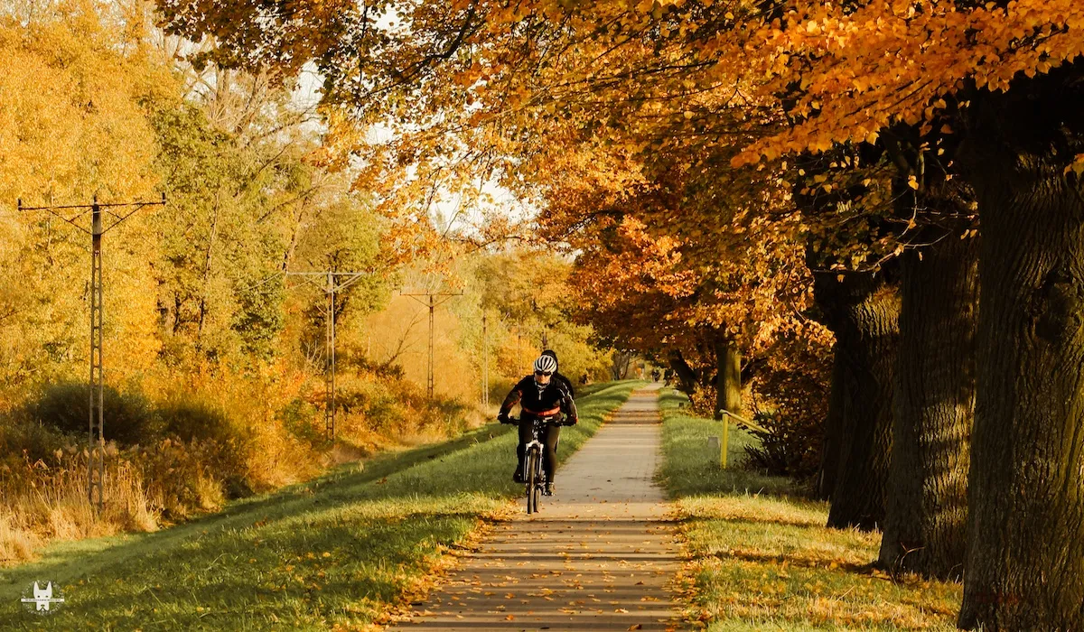 wrocław-private-bike-tour1