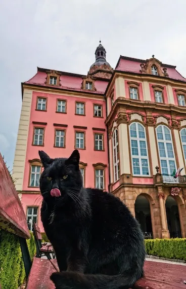 Ksiaz Castle Courtyard with a resident cat
