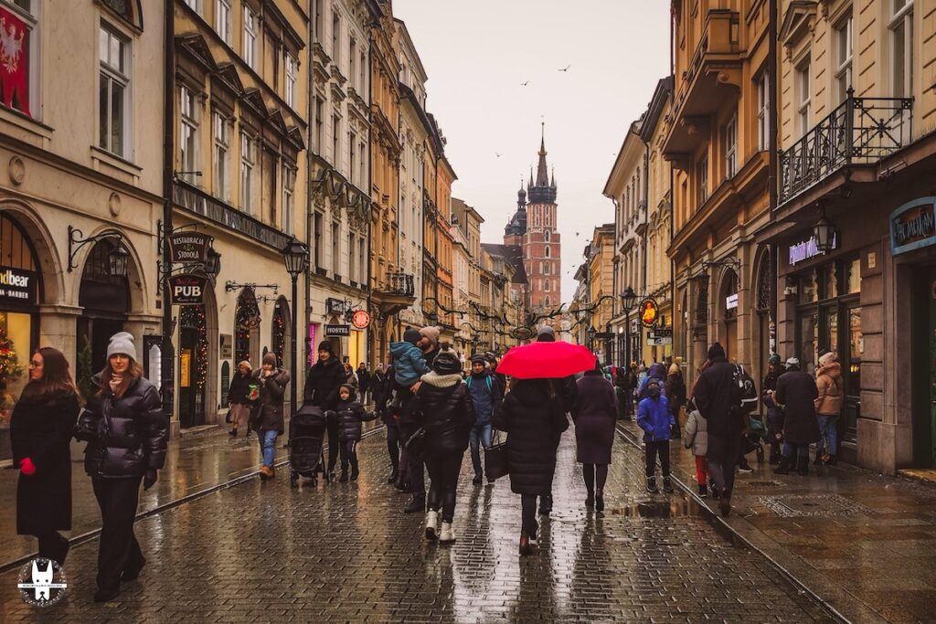 Overtourism in Kraków - A Poland tour guide's confession
