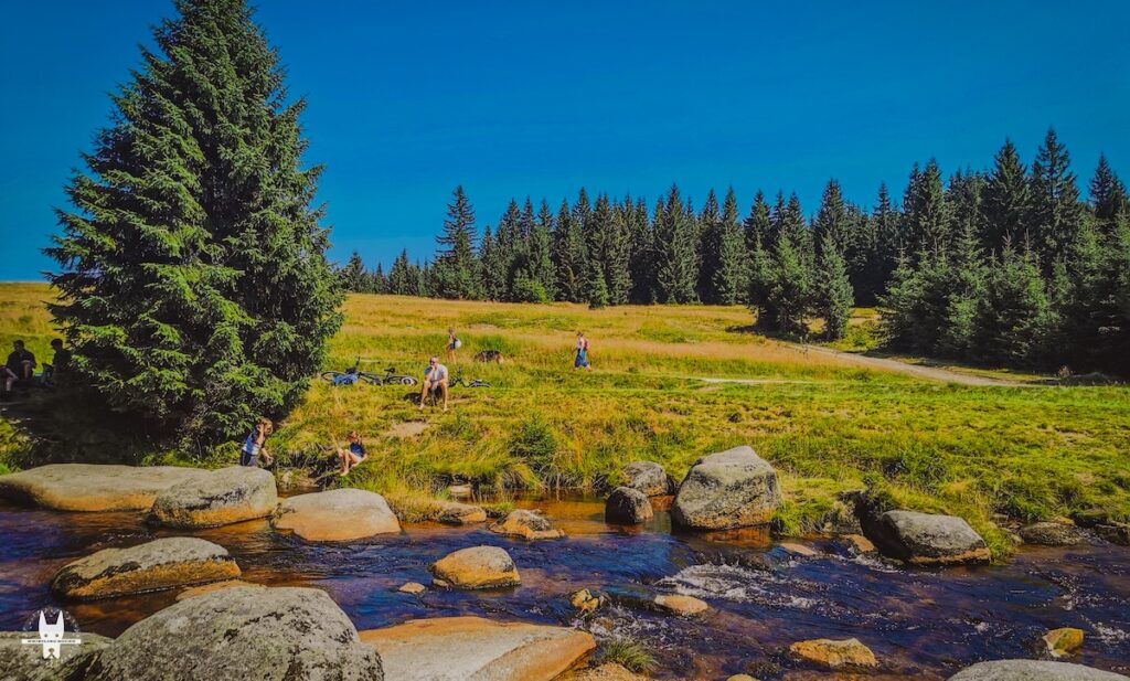 A view of Izery Mountains in Lower Sielsia on a hike