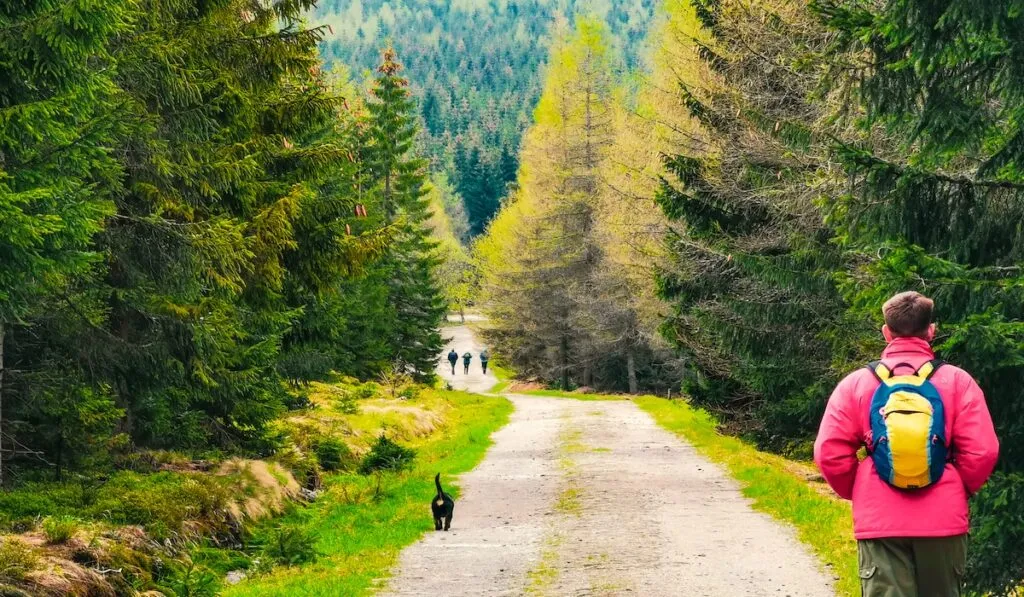 Karkonosze Mountains day trip from Wrocław