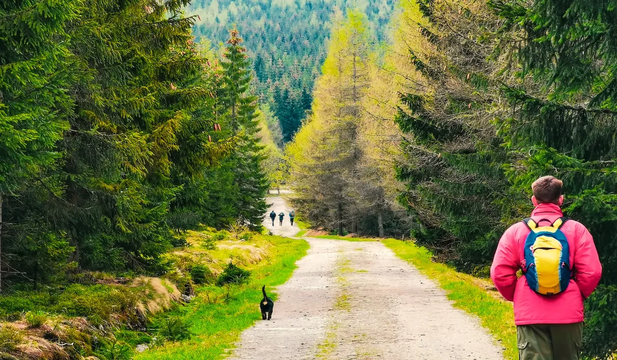 Karkonosze Mountains day trip from Wrocław