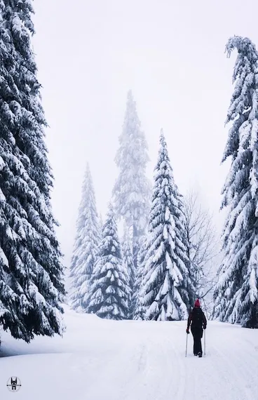 karkonosze-mountains-hiking-wroclaw3