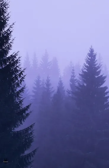 karkonosze-mountains-hiking-wroclaw5