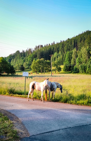 private-hiking-trip-janowice-wielkie-v10