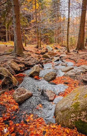 private-hiking-trip-janowice-wielkie-v3