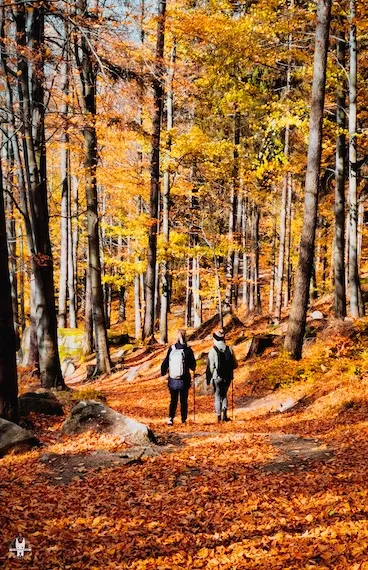 private-hiking-trip-janowice-wielkie-v5