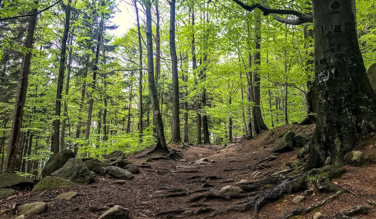 private-hiking-trip-janowice-wielkie6