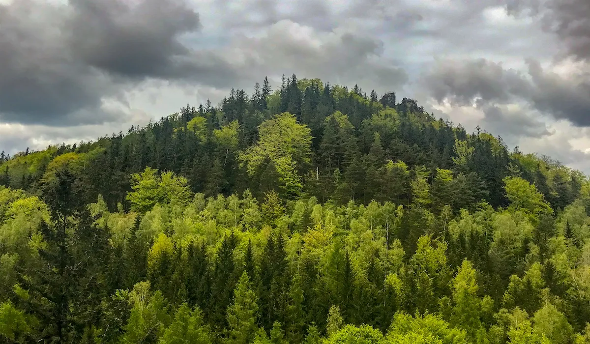 private-hiking-trip-janowice-wielkie7