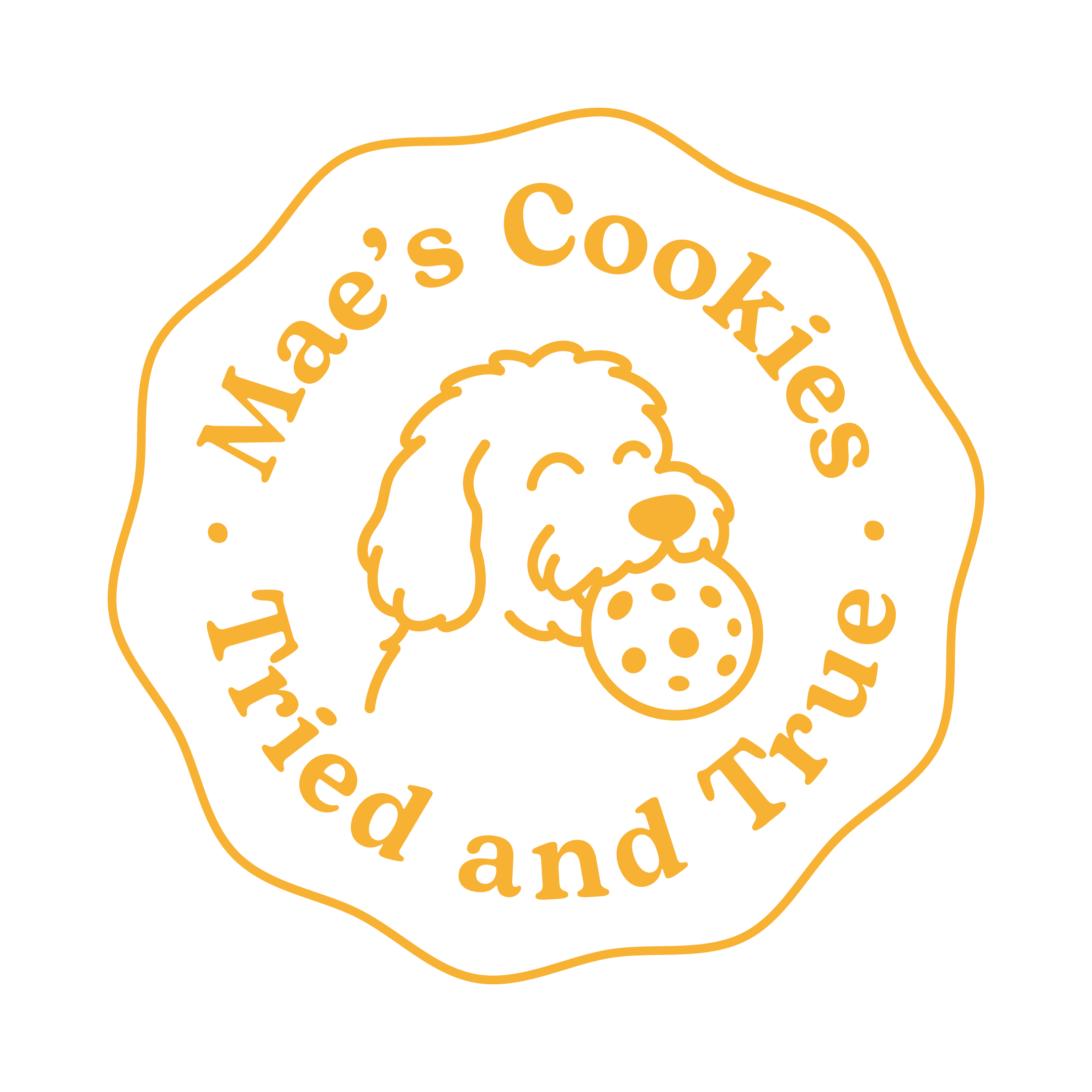 Maes Cookies Wrocław