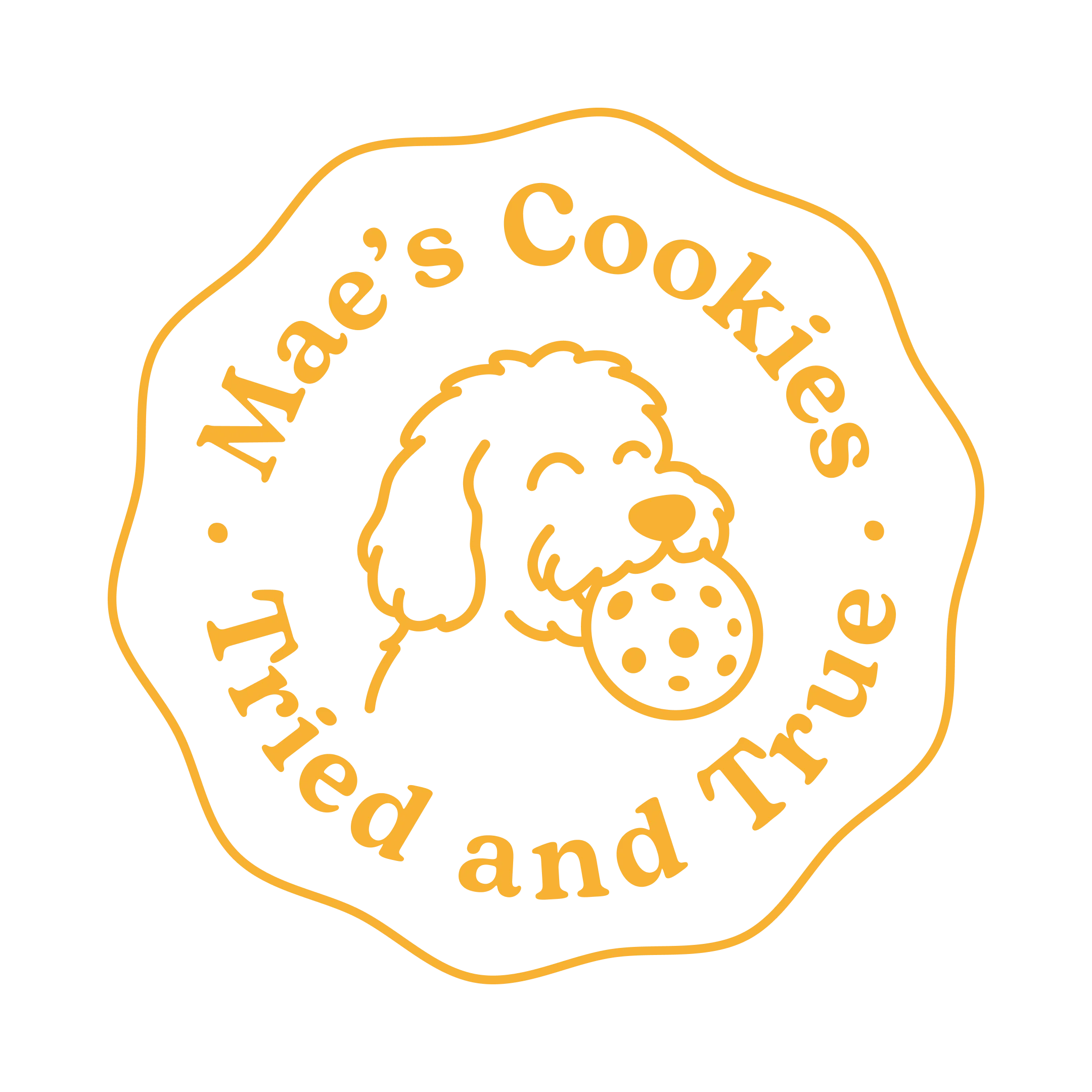 Maes Cookies Wrocław
